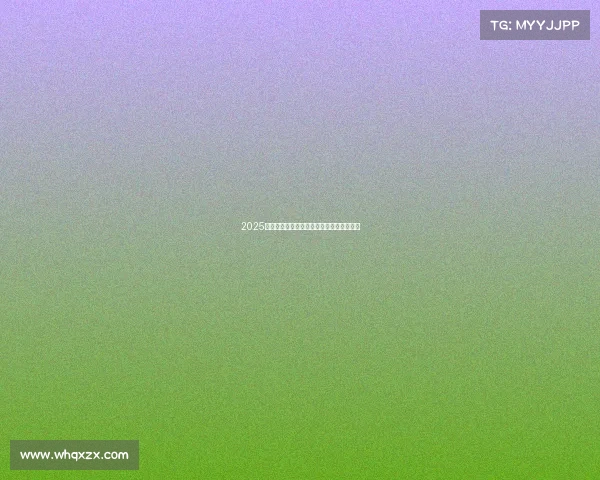 2025年网球比赛裁判员名单及其职责分配全解析